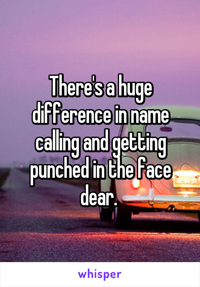 There's a huge difference in name calling and getting punched in the face dear. 