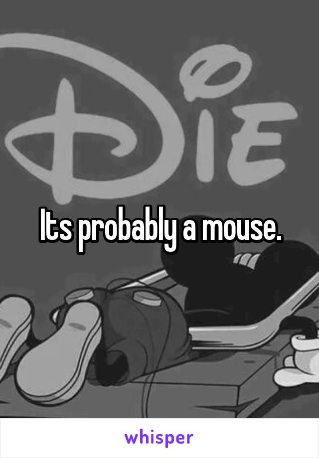 Its probably a mouse.