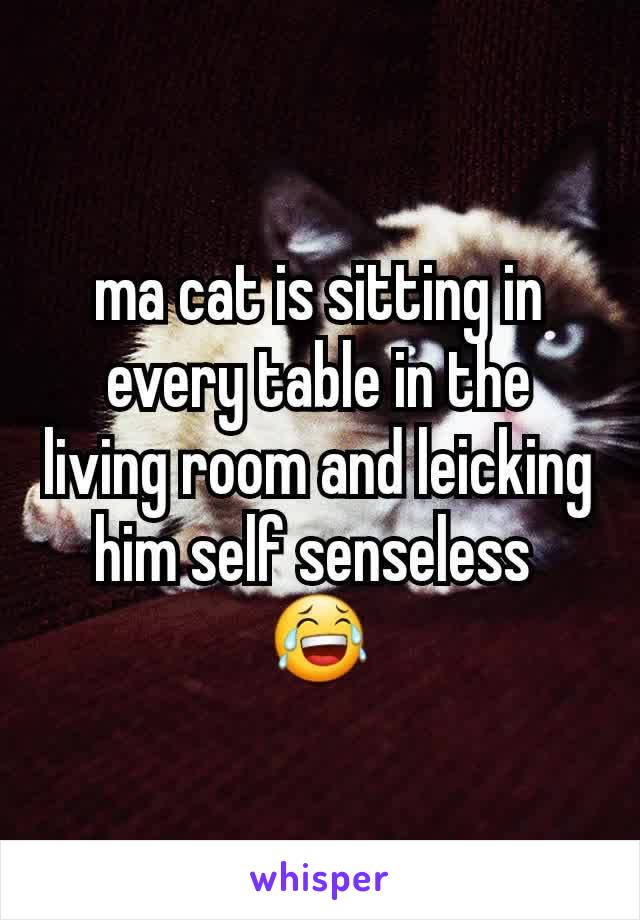 ma cat is sitting in every table in the living room and leicking him self senseless 
😂