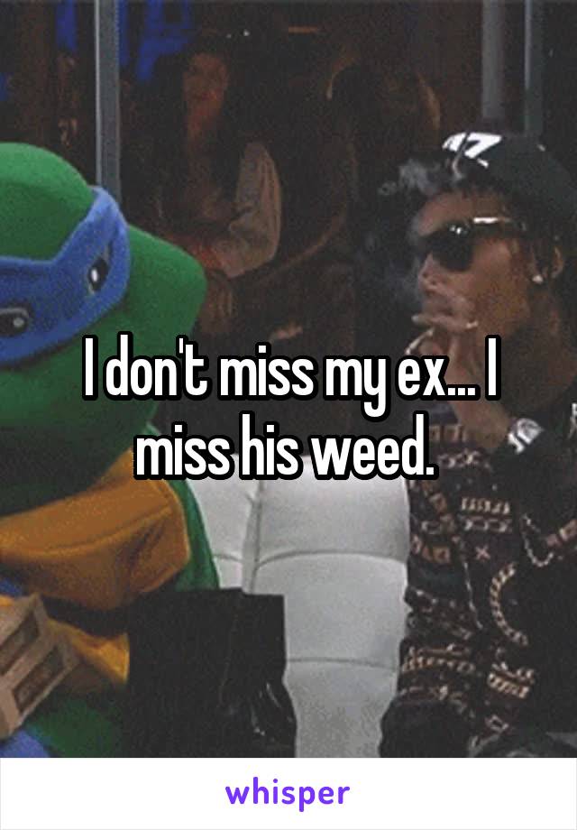 I don't miss my ex... I miss his weed. 