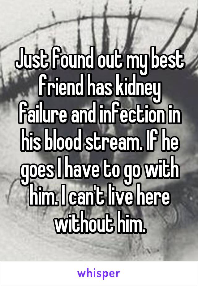 Just found out my best friend has kidney failure and infection in his blood stream. If he goes I have to go with him. I can't live here without him.