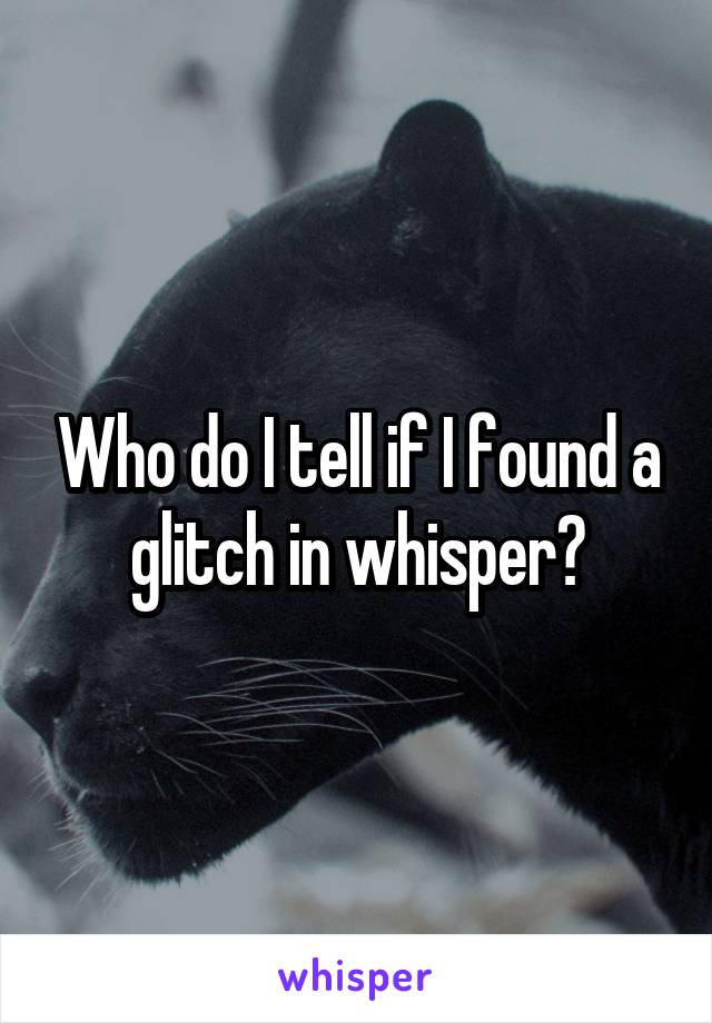 Who do I tell if I found a glitch in whisper?