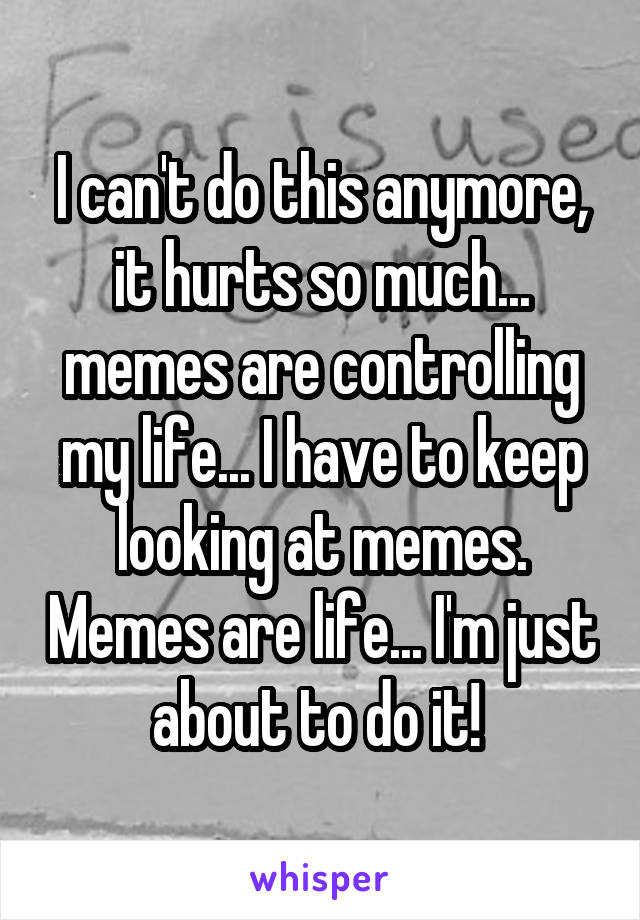 I can't do this anymore, it hurts so much... memes are controlling my life... I have to keep looking at memes. Memes are life... I'm just about to do it! 