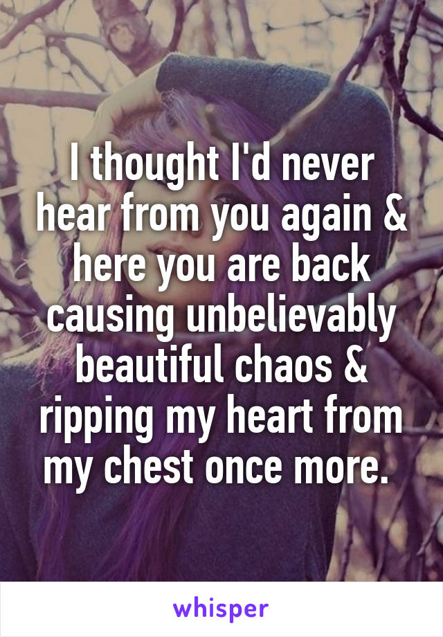 I thought I'd never hear from you again & here you are back causing unbelievably beautiful chaos & ripping my heart from my chest once more. 