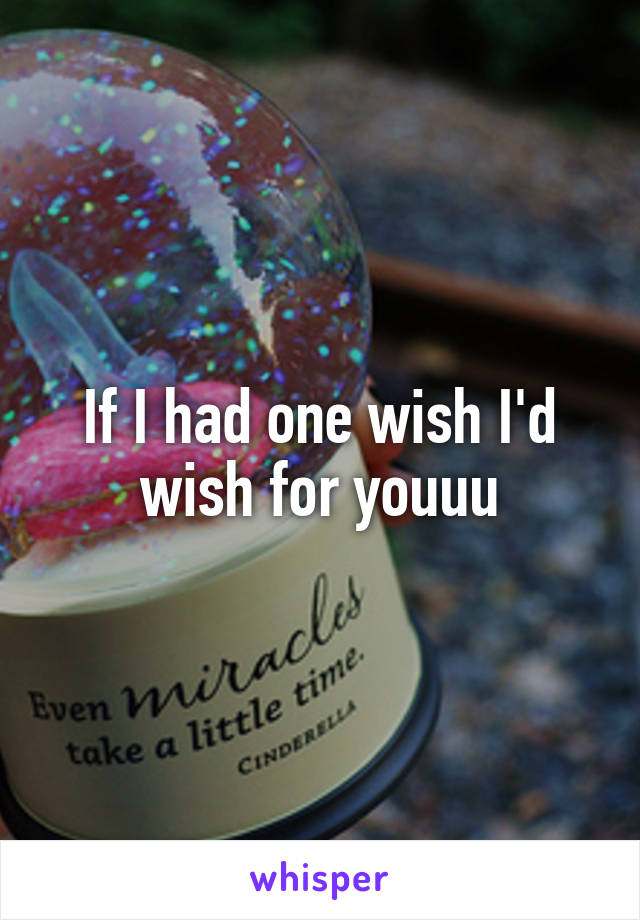 If I had one wish I'd wish for youuu