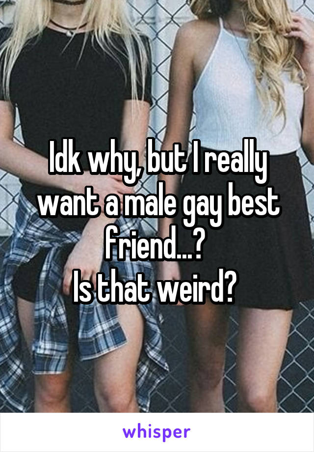 Idk why, but I really want a male gay best friend...? 
Is that weird? 