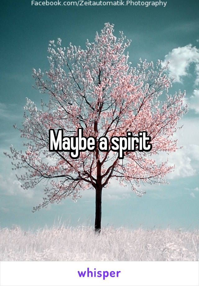 Maybe a spirit