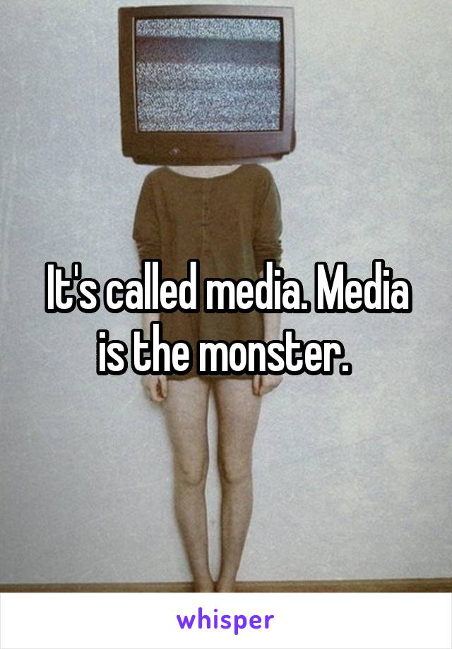 It's called media. Media is the monster. 