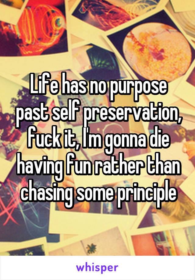 Life has no purpose past self preservation, fuck it, I'm gonna die having fun rather than chasing some principle