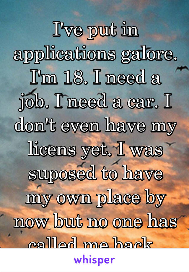 I've put in applications galore. I'm 18. I need a job. I need a car. I don't even have my licens yet. I was suposed to have my own place by now but no one has called me back. 