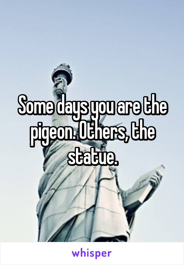 Some days you are the pigeon. Others, the statue.