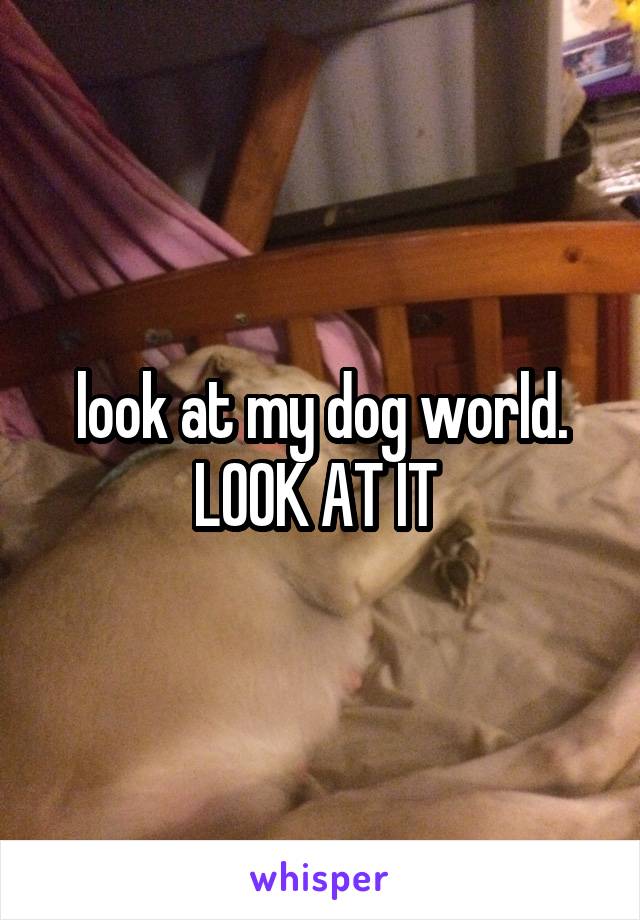 look at my dog world. LOOK AT IT 