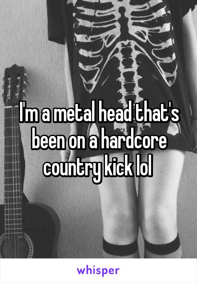 I'm a metal head that's been on a hardcore country kick lol 