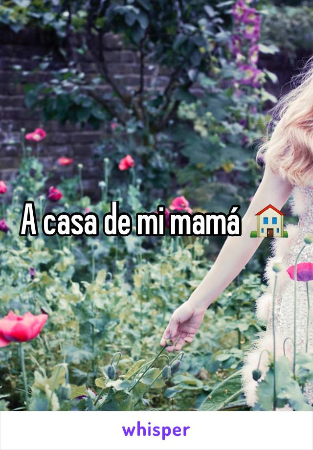 A casa de mi mamá 🏠