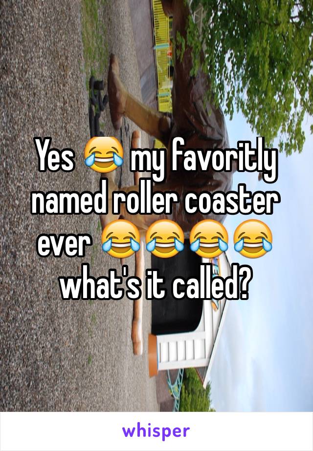 Yes 😂 my favoritly named roller coaster ever 😂😂😂😂 what's it called?