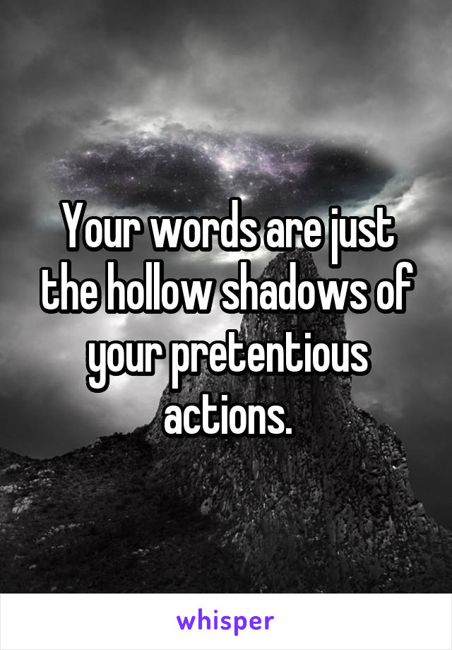 Your words are just the hollow shadows of your pretentious actions.