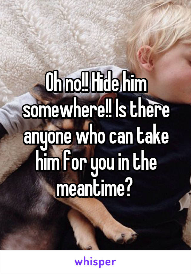 Oh no!! Hide him somewhere!! Is there anyone who can take him for you in the meantime? 