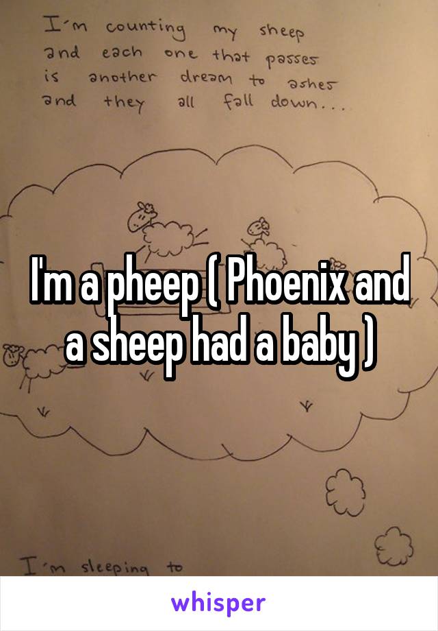 I'm a pheep ( Phoenix and a sheep had a baby )