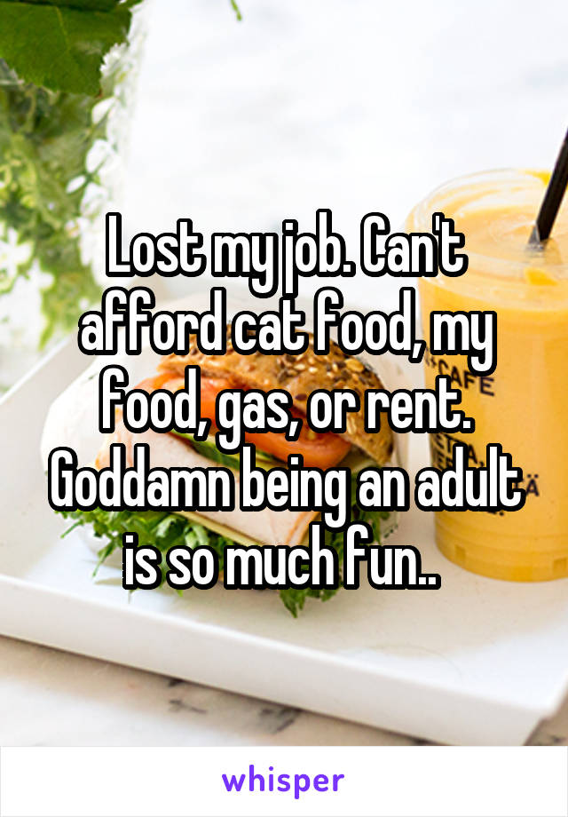 Lost my job. Can't afford cat food, my food, gas, or rent. Goddamn being an adult is so much fun.. 