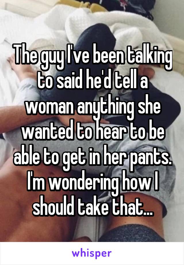 The guy I've been talking to said he'd tell a woman anything she wanted to hear to be able to get in her pants. I'm wondering how I should take that...