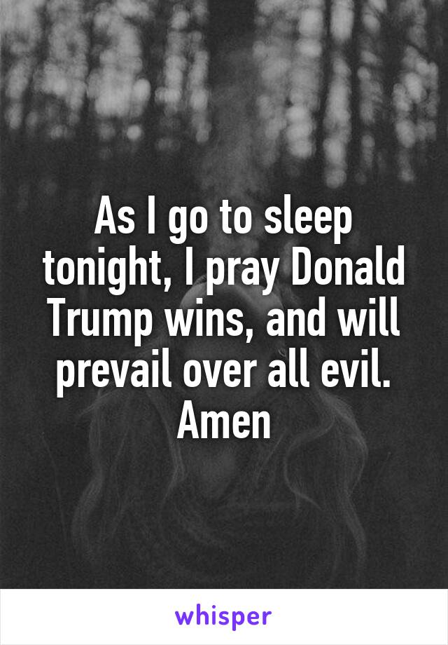 As I go to sleep tonight, I pray Donald Trump wins, and will prevail over all evil.
Amen