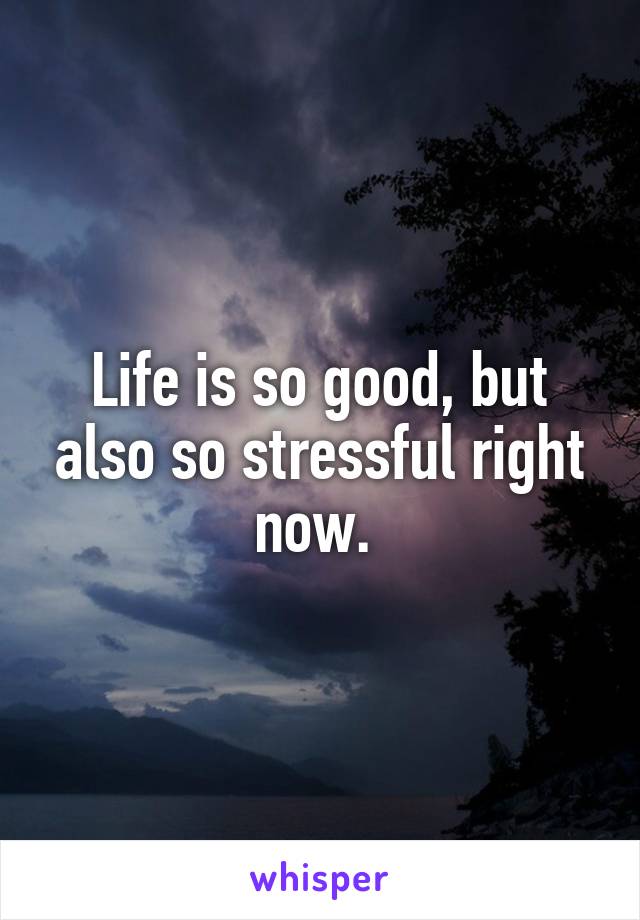 Life is so good, but also so stressful right now. 