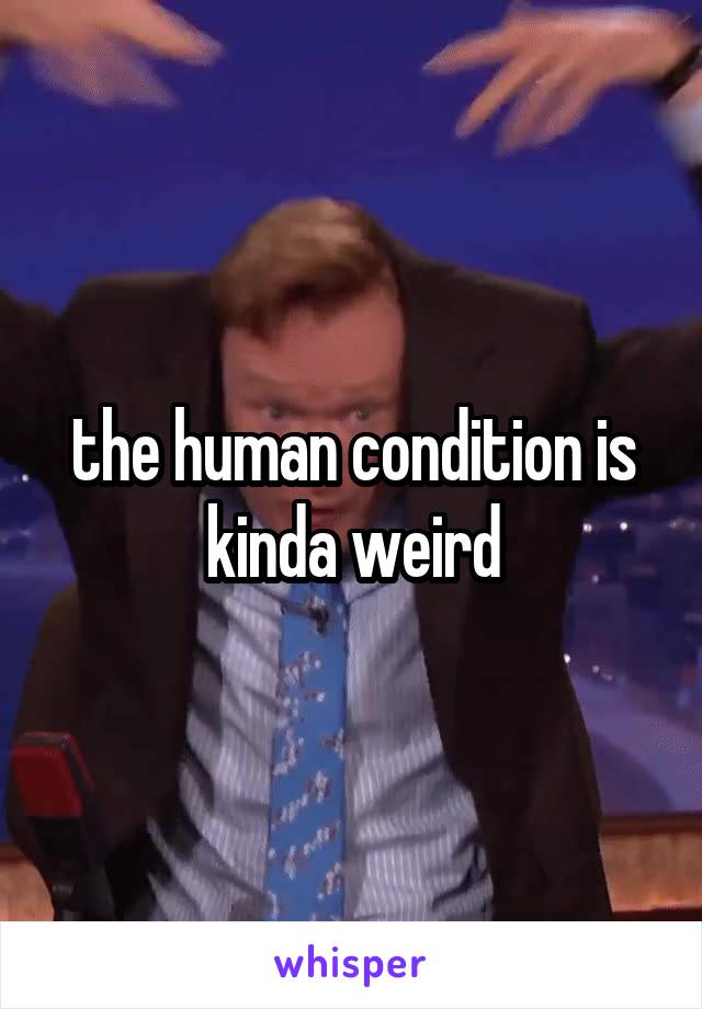 the human condition is kinda weird