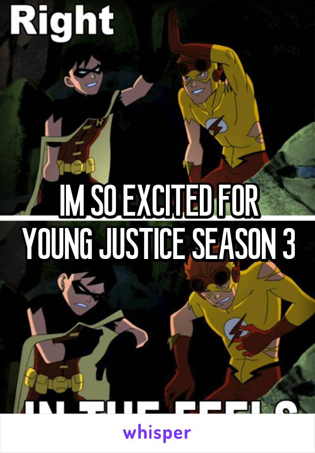 IM SO EXCITED FOR YOUNG JUSTICE SEASON 3