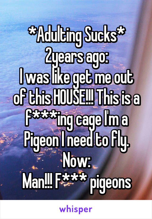 *Adulting Sucks*
2years ago:
I was like get me out of this HOUSE!!! This is a f***ing cage I'm a Pigeon I need to fly.
Now:
Man!!! F*** pigeons