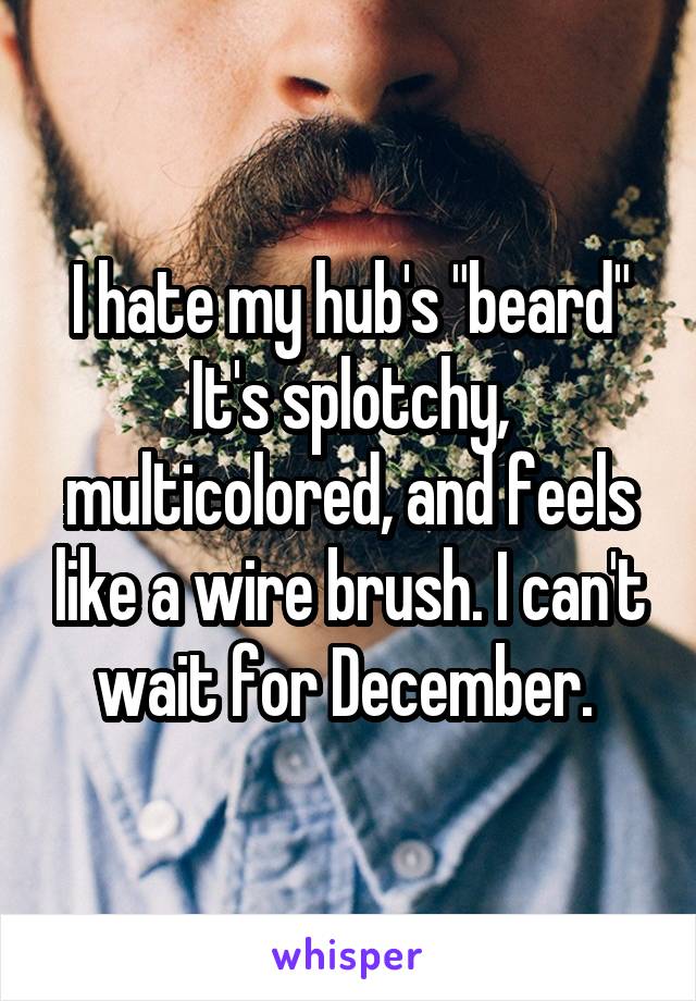 I hate my hub's "beard"
It's splotchy, multicolored, and feels like a wire brush. I can't wait for December. 