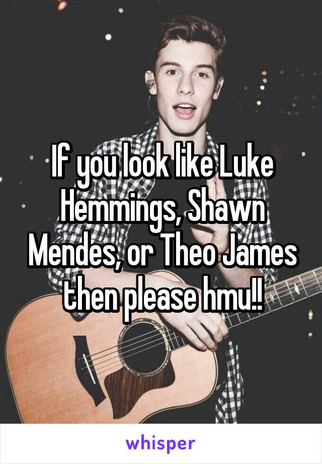 If you look like Luke Hemmings, Shawn Mendes, or Theo James then please hmu!!