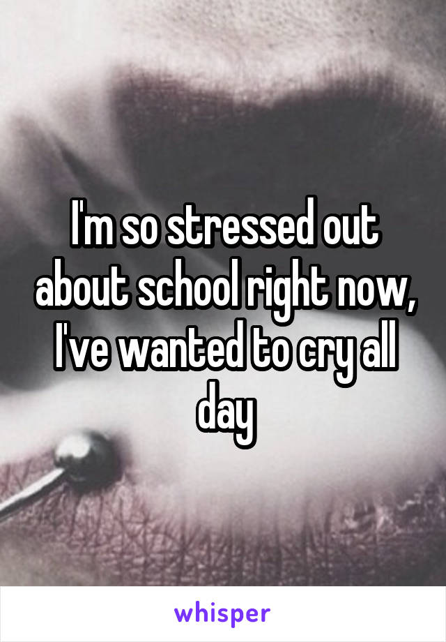 I'm so stressed out about school right now, I've wanted to cry all day