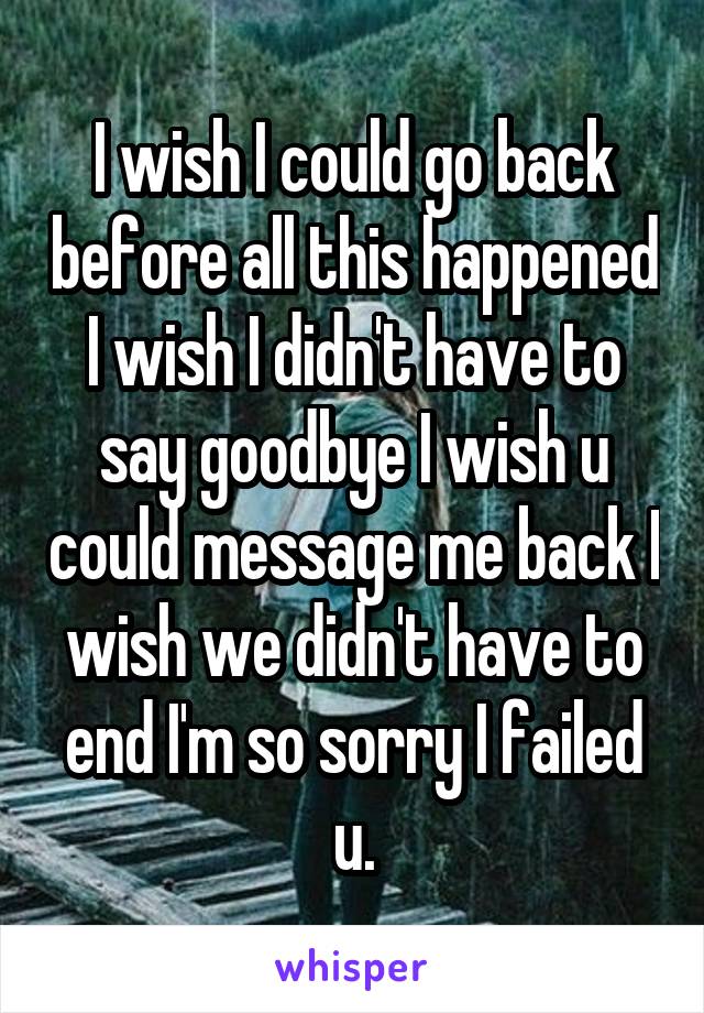 I wish I could go back before all this happened I wish I didn't have to say goodbye I wish u could message me back I wish we didn't have to end I'm so sorry I failed u.