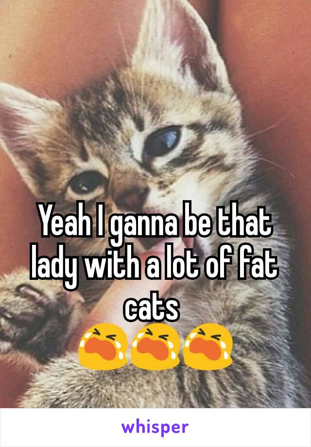 Yeah I ganna be that lady with a lot of fat cats 
😭😭😭