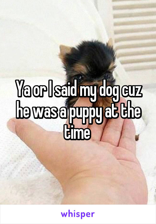 Ya or I said my dog cuz he was a puppy at the time 