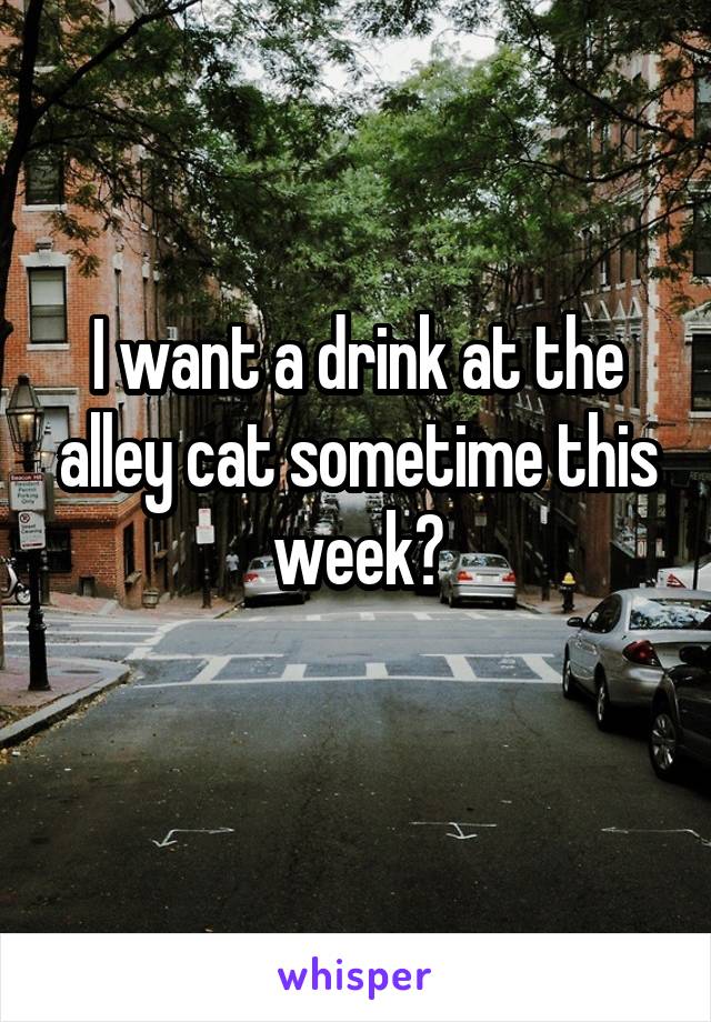 I want a drink at the alley cat sometime this week?
