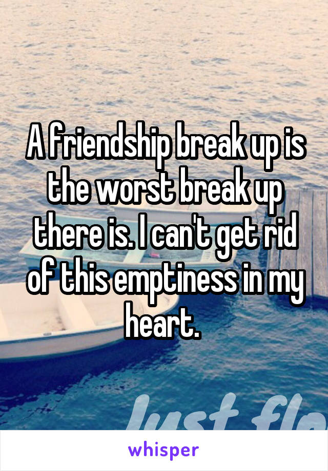 A friendship break up is the worst break up there is. I can't get rid of this emptiness in my heart. 