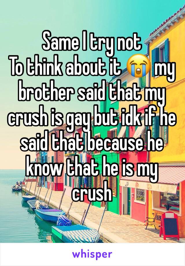 Same I try not
To think about it 😭 my brother said that my crush is gay but idk if he said that because he know that he is my crush 