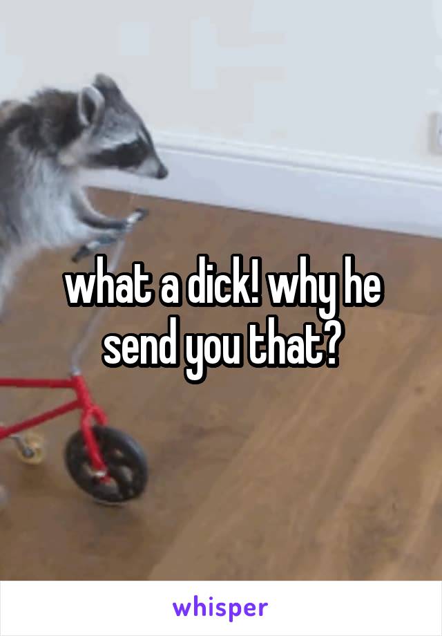 what a dick! why he send you that?