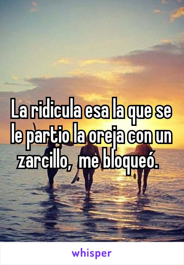 La ridicula esa la que se le partio la oreja con un zarcillo,  me bloqueó.  