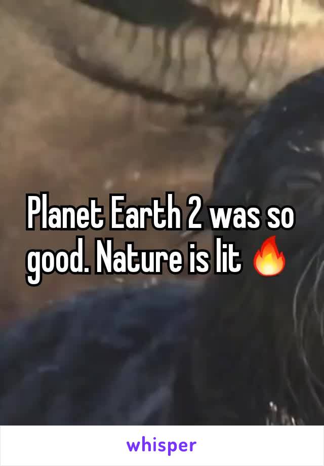 Planet Earth 2 was so good. Nature is lit🔥