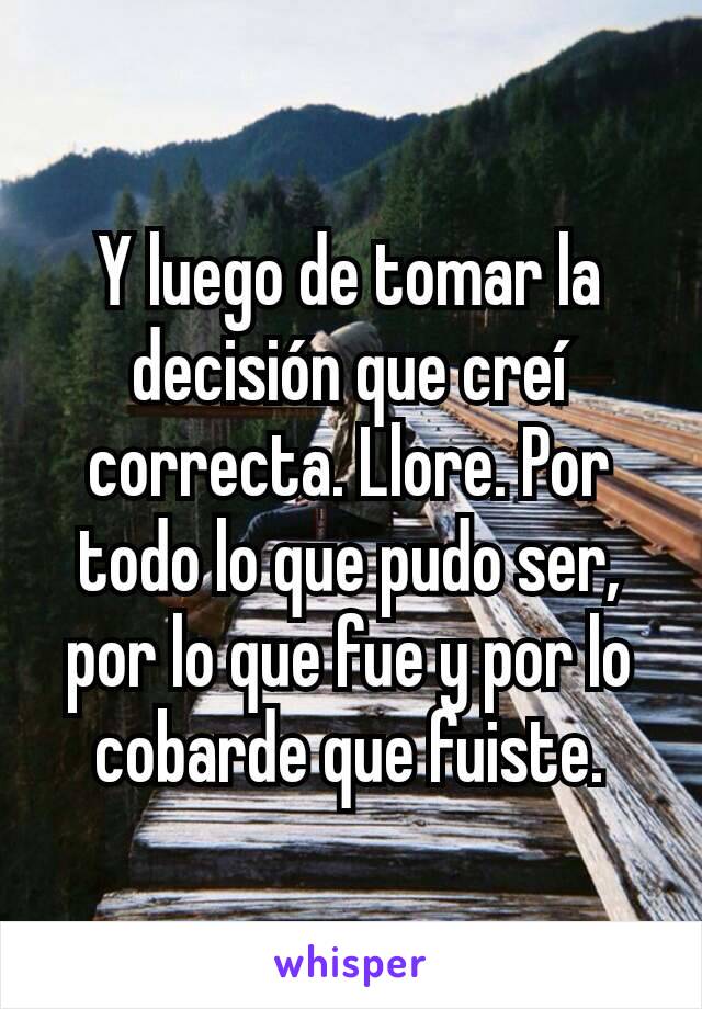 Y luego de tomar la decisión que creí correcta. Llore. Por todo lo que pudo ser, por lo que fue y por lo cobarde que fuiste.