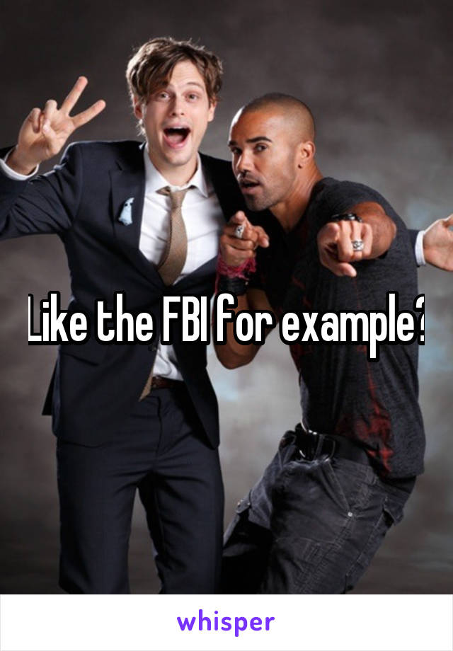 Like the FBI for example?