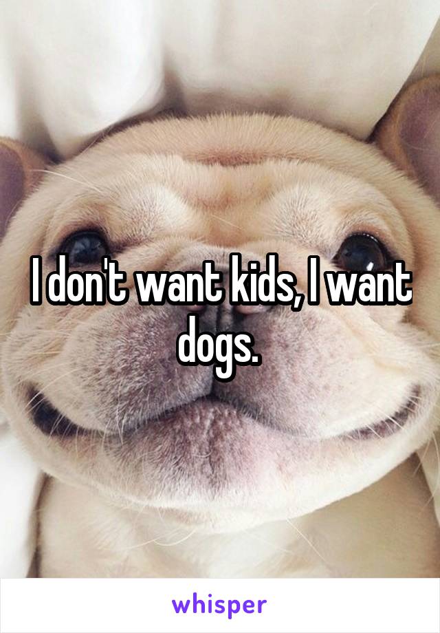 I don't want kids, I want dogs. 