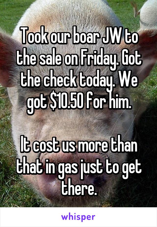 Took our boar JW to the sale on Friday. Got the check today. We got $10.50 for him.

It cost us more than that in gas just to get there.