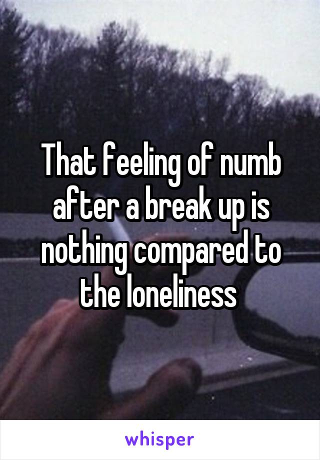 That feeling of numb after a break up is nothing compared to the loneliness 