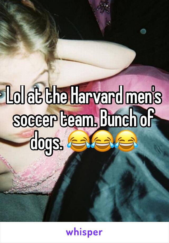 Lol at the Harvard men's soccer team. Bunch of dogs. 😂😂😂