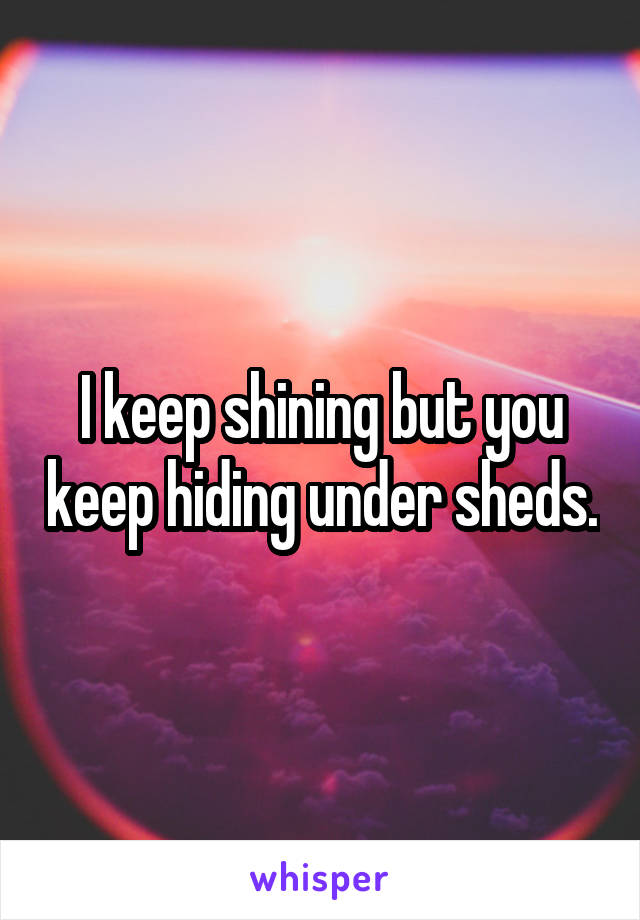 I keep shining but you keep hiding under sheds.