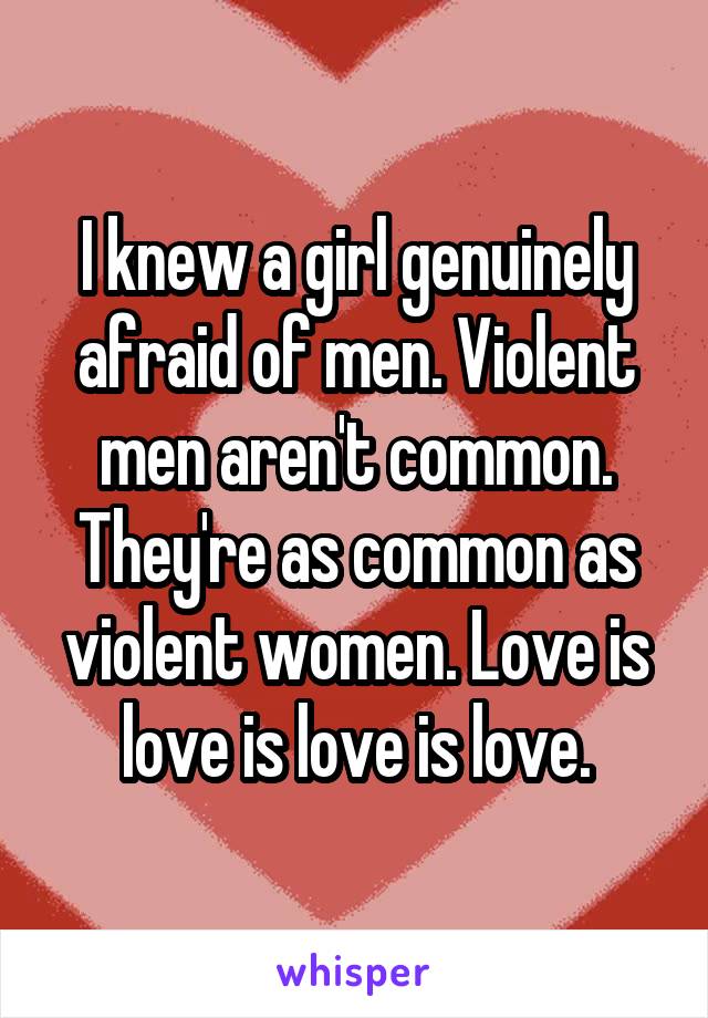 I knew a girl genuinely afraid of men. Violent men aren't common. They're as common as violent women. Love is love is love is love.