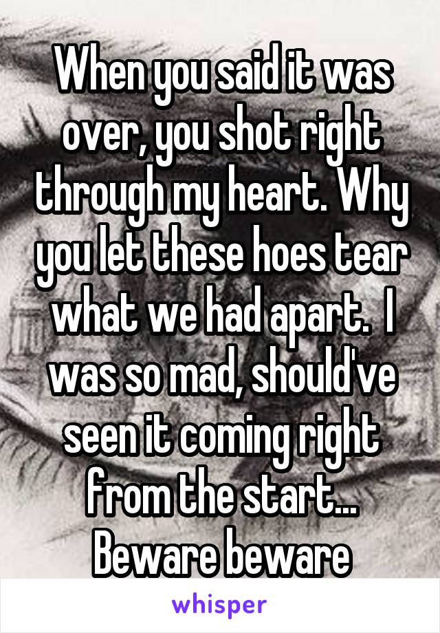 When you said it was over, you shot right through my heart. Why you let these hoes tear what we had apart.  I was so mad, should've seen it coming right from the start... Beware beware